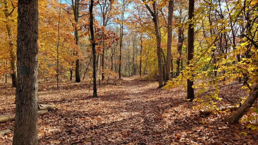 Rancocas State Park